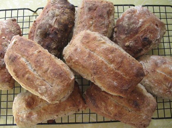 sunflower linseed panini