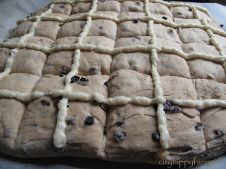 hotcross buns