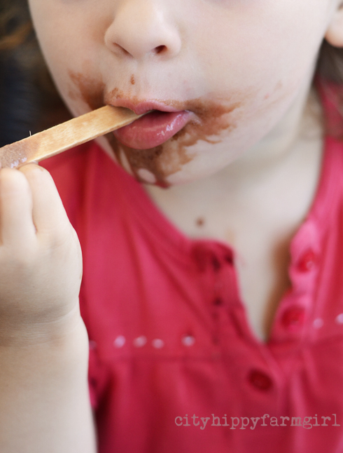 paddle pop- cityhippyfarmgirl