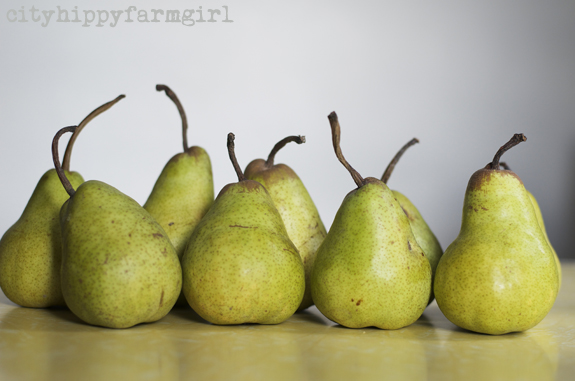 pears || cityhippyfarmgirl