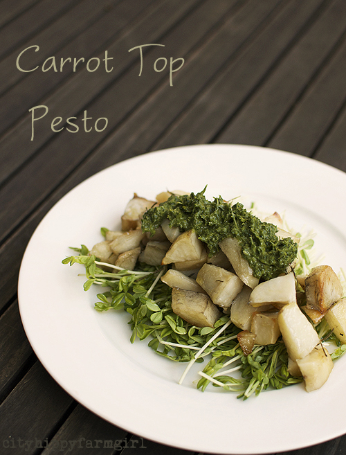 carrot top pest recipe || cityhippyfarmgirl