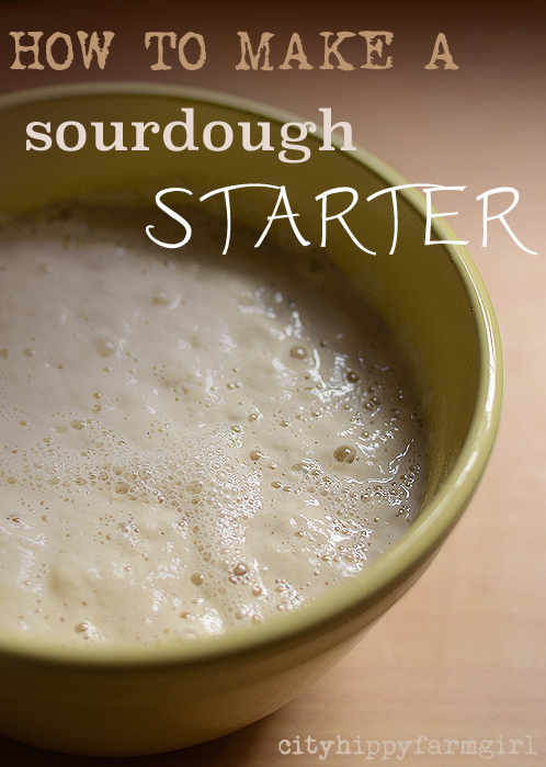 how to make a sourdough starter || cityhippyfarmgirl