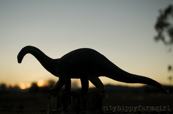 dinosaurs at dusk || cityhippyfarmgirl