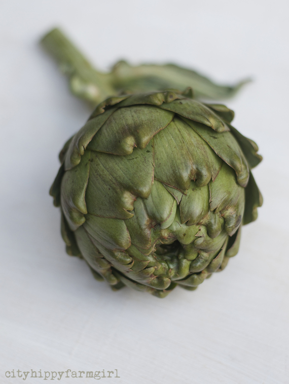 artichoke || cityhippyfarmgirl