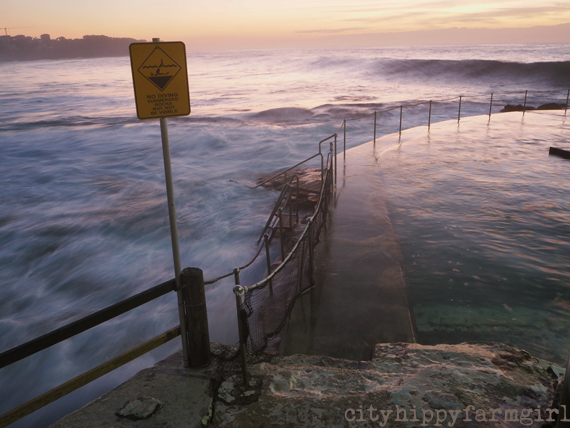 morning time || cityhippyfarmgirl