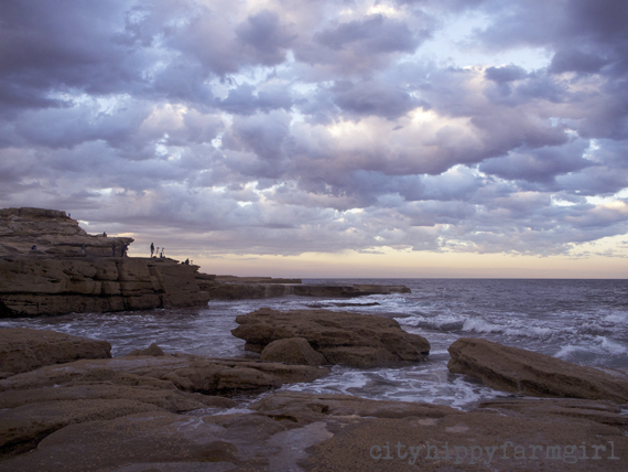 waiting for the moon to rise || cityhippyfarmgirl