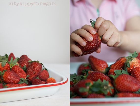 strawberry season || cityhippyfarmgirl