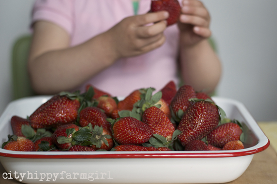 strawberries || cityhippyfarmgirl