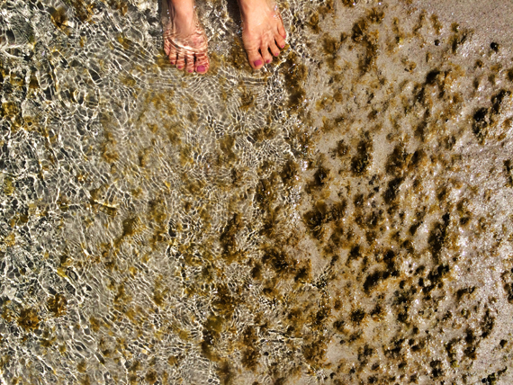 Ocean Toes- Ecolosophy