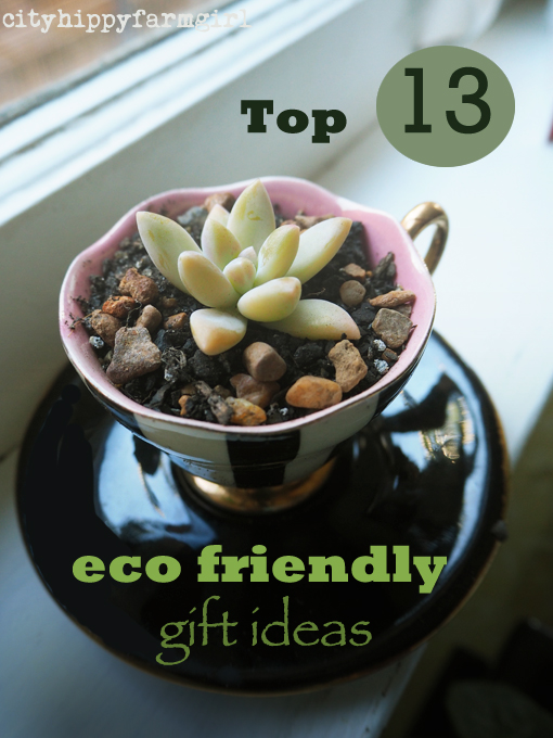 Top 13 Eco Friendly Gift Ideas || cityhippyfarmgirl