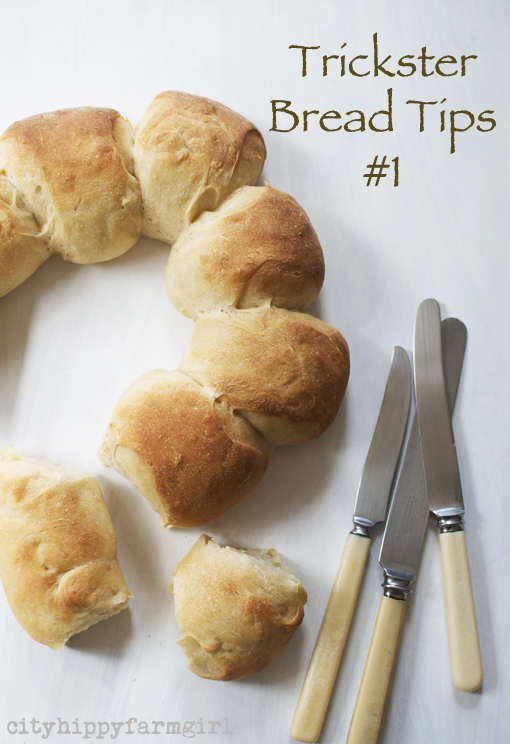 Trickster Bread Tips #1 || cityhippyfarmgirl