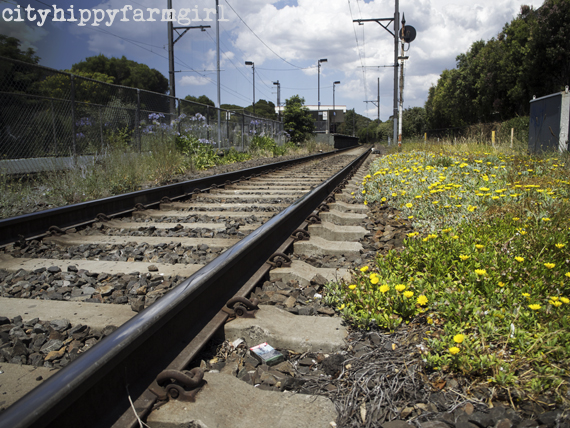 tracks || cityhippyfarmgirl