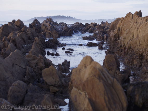 dawn || cityhippyfarmgirl