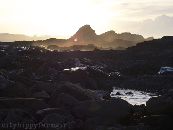 dawn || cityhippyfarmgirl