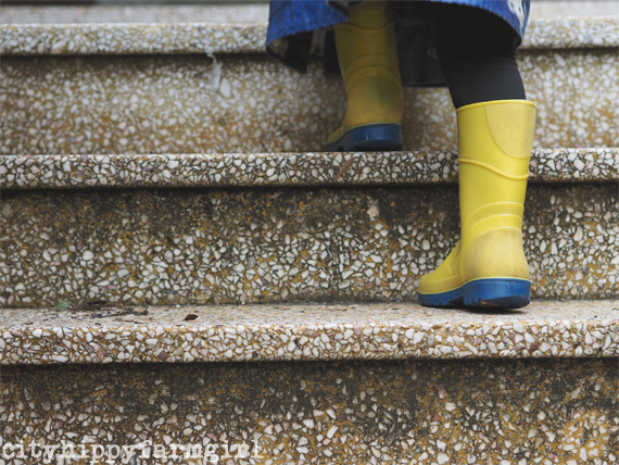 cityhippyfarmgirl.com