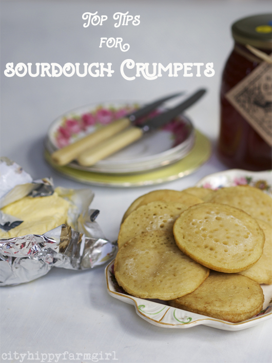 Top tips for Sourdough Crumpets || cityhippyfarmgirl