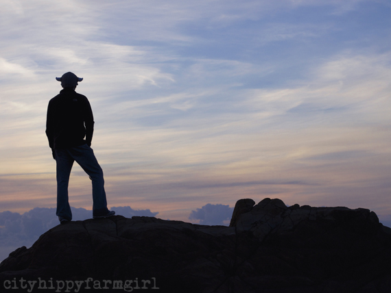 viking at dawn || cityhippyfarmgirl