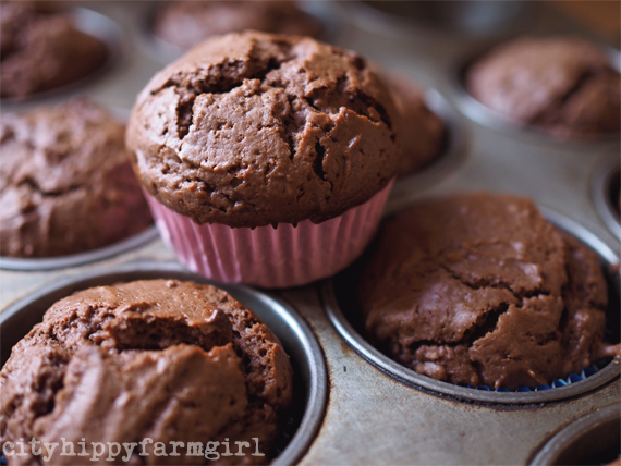 best ever chocolate muffins || cityhippyfarmgirl