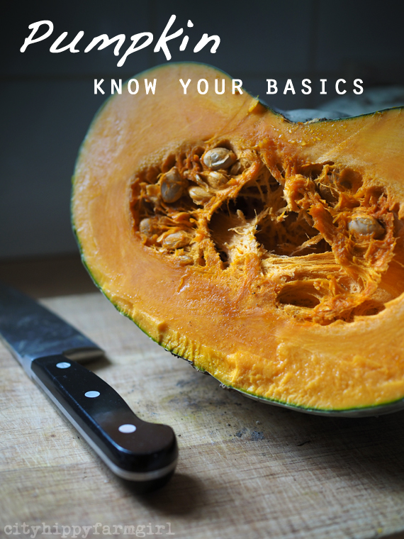 pumpkin: know your basics || cityhippyfarmgirl