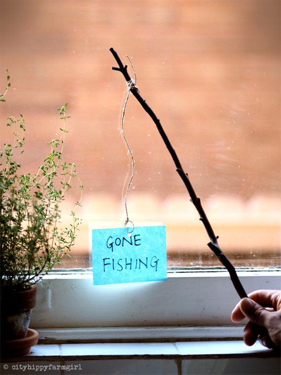 gone fishing || cityhippyfarmgirl