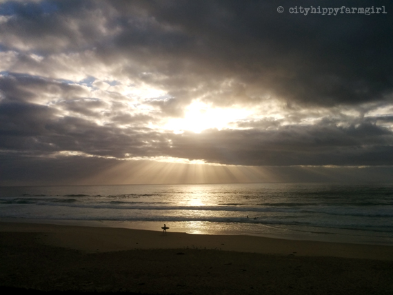 sunrise || cityhippyfarmgirl