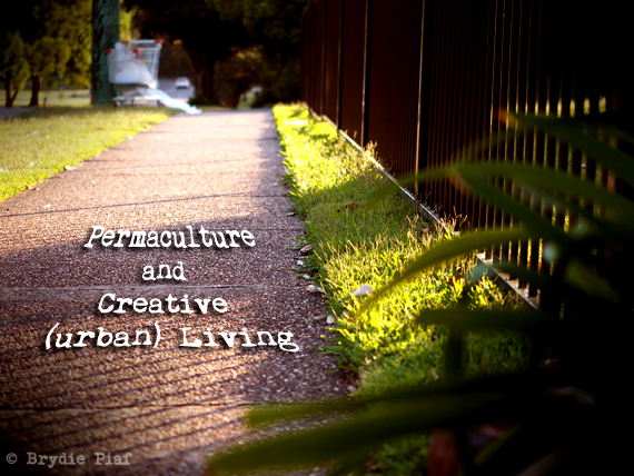 permaculture and creative urban living