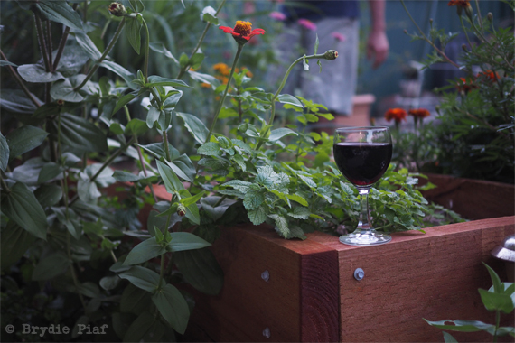 permaculture garden || cityhippyfarmgirl