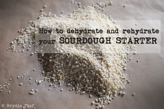 how to dehydrate and rehydrate your sourdough starter || cityhippyfarmgirl