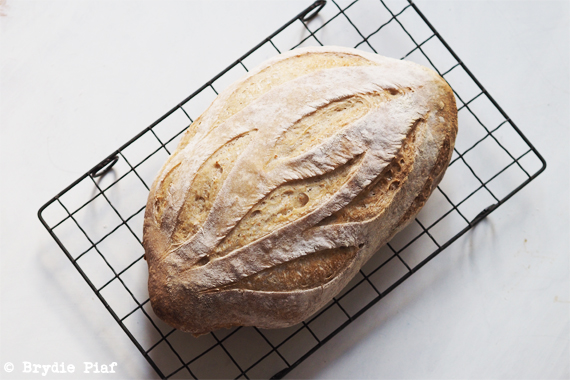 how to dehydrate and rehydrate your sourdough starter || cityhippyfarmgirl
